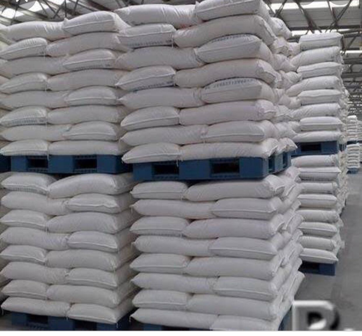 PHOTO-2021-08-10-19-03-48